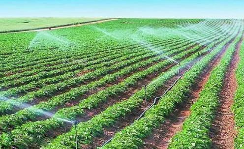 草逼大全农田高 效节水灌溉